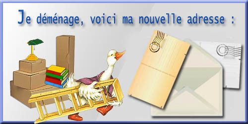 15 carte avis de demenagement